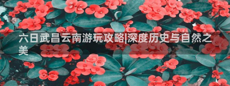 云顶国际平台官网入口
