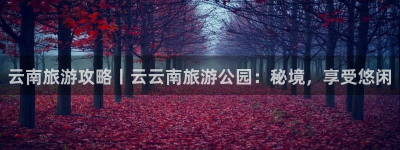 云顶国际平台网址多少