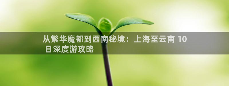 云顶国际官网唯一官方网站