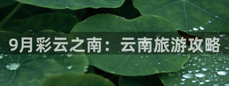 云鼎国际4118welcome
