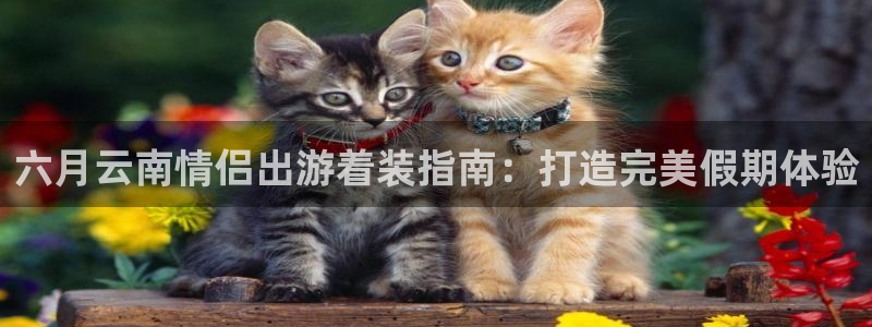 云顶yd2223线路检测